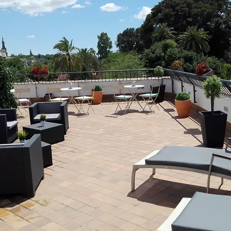 Basic Doña Manuela Sevilla